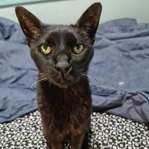 Meet your Posher, Lyn